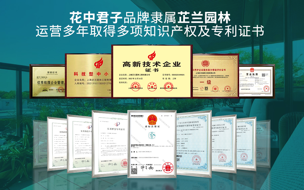 1704430565144973 拷贝.jpg